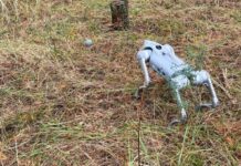 Робопес допоміг рятувальникам знайти боєприпаси після обстрілу: у ДСНС показали фото