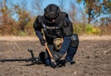 Розмінування Херсонщини триває: яку територію очистили від вибухівки