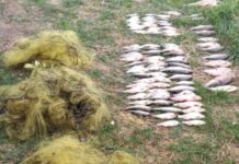 Незаконний вилов риби: криворіжець завдав збитків рибному господарству на понад 140 тисяч гривень