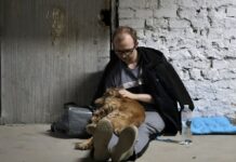 У Києві та низці областей оголошено тривогу: попереджають про балістику