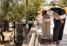 Винне людство? Чому спека в Європі могла забрати цього року на 16,5 тис. життів менше