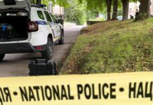 На Кіровоградщині чоловік стріляв у поліцейських під час перевірки документів