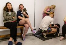 Росіяни атакують Україну “Шахедами”: де загроза ударів