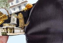 Секрети нерухомості: Президент підписав закон, що приховує дані про майно