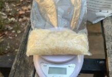 Працівники кримінальної поліції Дніпра затримали жінку з наркотиками майже на 90 тисяч гривень