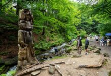 Найкрасивіші водоспади Карпат, які варто побачити власними очима