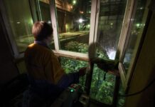 Україна тоне у смітті? Скільки заводів з переробки працює зараз і яка реальна потреба