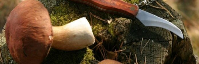 14738461901473831783158437301_68debecf4cd03