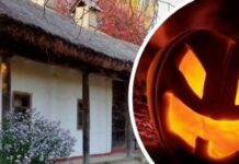 Коріння надприродного: давні звичаї та моторошні історії про Хеловін