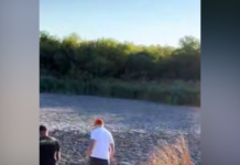 У Солонянському районі пересох ставок: подробиці