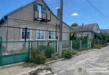 У Нікопольському районі поліцейські викрили чоловіка, який обкрадав односельців