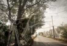 Генштаб ЗСУ: на фронті 65 з майже 160 боїв були на Покровському напрямку