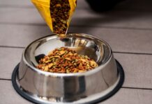 Міф №1 про сухий корм, у який давно треба перестати вірити