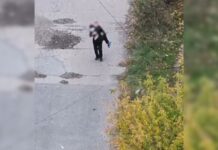 «Ворог має тотальну перевагу» – командир батальйону «Свобода» про ситуацію поблизу Покровська