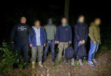 Прикордонники припинили дві спроби втечі через українсько-словацький кордон: серед порушників жителі Запоріжжя