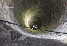 На Запоріжжі рятувальники витягли собаку з 12-метрової каналізаційної ями