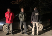 8 тисяч доларів на вітер: прикордонники затримали українця та молдавського водія за спробу нелегального перетину кордону