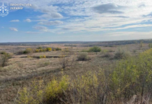 На Дніпропетровщині прокуратура вимагає повернення земель заповідного фонду вартістю понад 4 млн грн