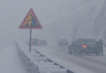 У Румунії вирує негода: затоплені вулиці, повалені дерева, ускладнений рух транспорту