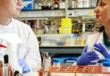 Революція в стоматології: вирощені біологічні зуби замінять імпланти вже цього десятиліття