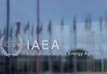 МАГАТЕ: РФ повідомила, що вночі безпілотник врізався в градирню Нововоронезької АЕС