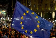 Євродепутати: заборона на вʼїзд для грузинів з дипломатичними паспортами не працює