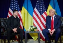 Зеленський підтвердив зустріч з Трампом цього тижня у США