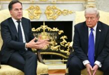 Трамп заявив, що його зустріч із Путіним у Будапешті скасована