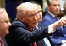 Трамп: за провал переговорів щодо України «багато хто заплатить велику ціну»