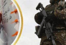 Пошук ресурсу для ЗСУ: у Раді ініціюють ревізію “липових” довідок студентів та аспірантів