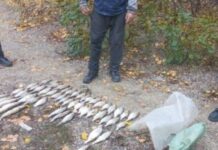 Наловив риби на 102 тисячі: біля м. Кам’янське затримали браконьєра