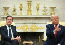 Генсекретар НАТО зустрінеться з Трампом у Вашингтоні