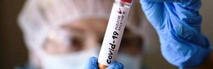 depositphotos360060934l_68e811085e858