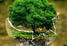 Звіт про роботу департаменту екології та природних ресурсів Кам’янської міської ради за ІІІ квартал 2025 року