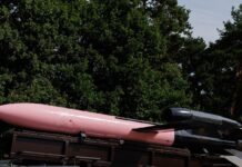 Україна почала використовувати “Фламінго” для ударів по РФ, – The Economist