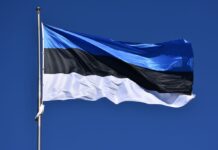 Естонія засудила військовослужбовця, який шпигував на користь РФ