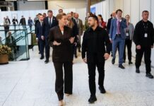 Зеленський у Данії: стали відомі подробиці візиту