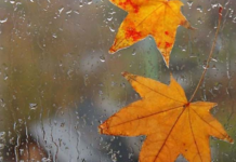 Приготуйте парасольки: якою буде погода в Кам’янському 9 жовтня