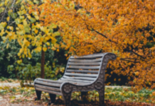 Прогноз погоди в Кам’янському на 22 жовтня: прохолодно, але без опадів