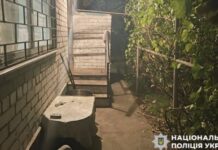Побив потерпілу на подвір’ї приватного будинку: слідчі Дніпра повідомили про підозру 36-річному чоловікові