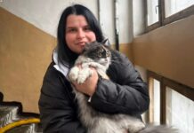 У Запоріжжі під час пожежі в багатоповерхівці вогнеборці врятували кота