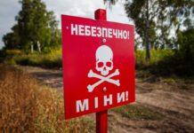 В Житомирській області за день п’ятеро людей загинуло на мінах: поліція веде розслідування