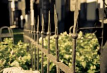 Супутникові знімки показали масштаб маріупольського кладовища: доказ воєнних злочинів РФ