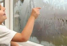 Конденсат і пліснява: головне правило, як уникнути зайвої вологи на вікнах