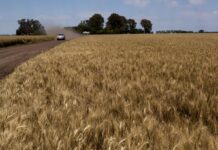 Окупанти дотують колаборантів: ЦНС викрив схему на Херсонщині