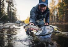 За одну рибину – штраф понад 7 тисяч: кого заборонили ловити у чотирьох областях України