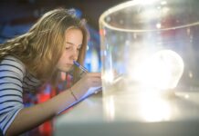 Нові уроки? МОН пояснило, хто й як почав вчити школярів в Україні енергоефективності