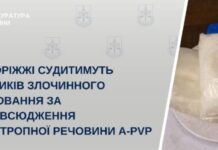 У Запоріжжі судитимуть учасників злочинного угруповання за розповсюдження психотропної речовини A-PVP