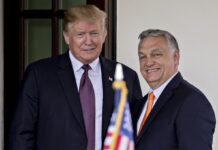 Коли Трамп зустрінеться з Орбаном: Bloomberg дізналося дату