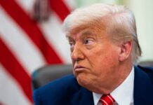 Трамп відкинув повідомлення про пропозицію здати Донбас, – ЗМІ